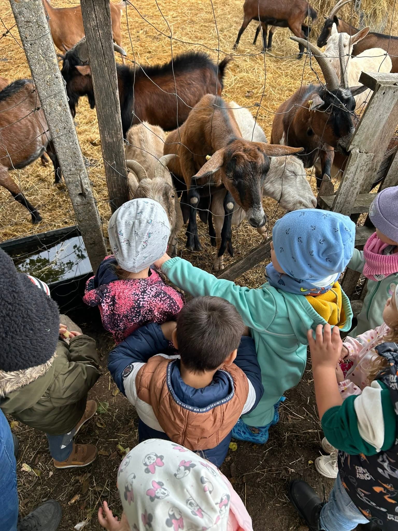 558219511_122113050302997413_3452893837010449946_n